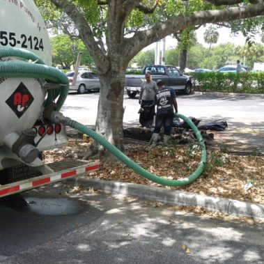 Gutter cleaning services